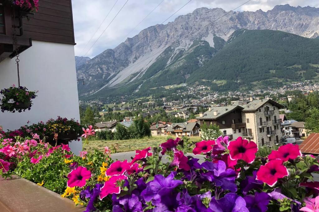 Appartamento A Due Passi Da Bormio Valdisotto Bagian luar foto